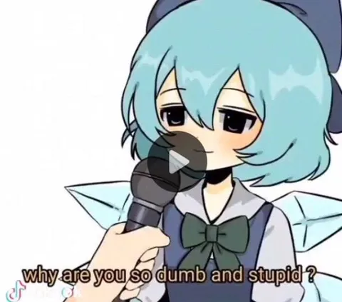 Why Are You So Dumb and Stupid