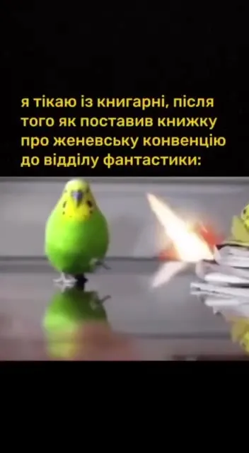 Втеча з книгарні після помилки