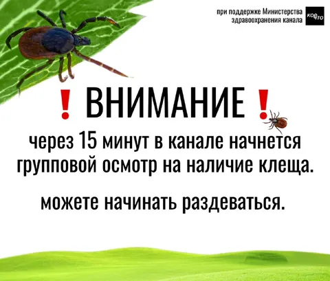 Групповой осмотр на клеща