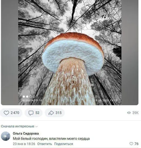 Белый господин, властелин сердца