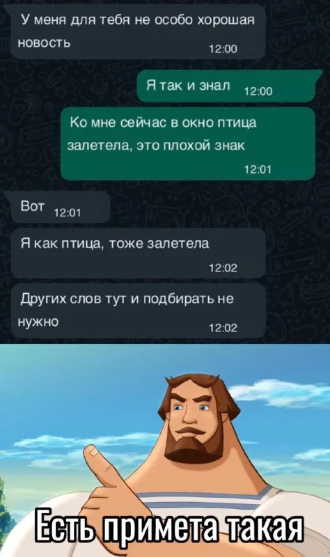 Птица залетела в окно