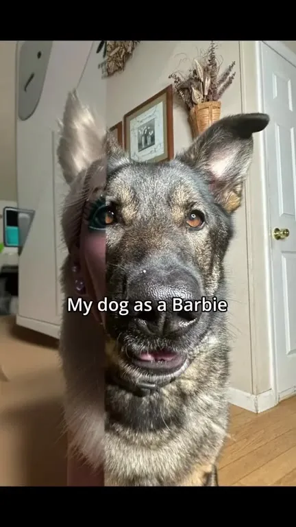 My Dog as a Barbie