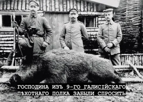 Господина забыли спросить