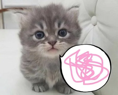Котёнок с каракулями