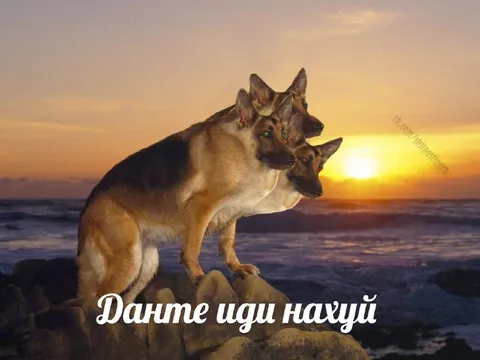 Данте иди нахуй на закате