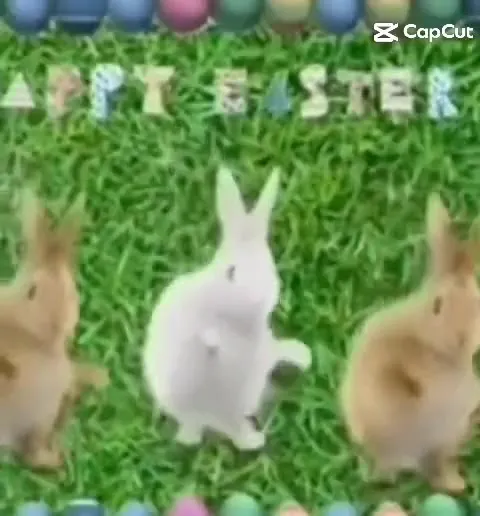Dancing Happy Easter Bunnies