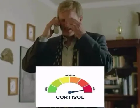 Cortisol Level Goes From High to Chill