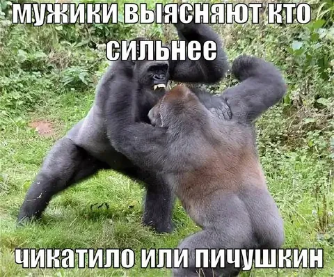 Чикатило или Пичушкин