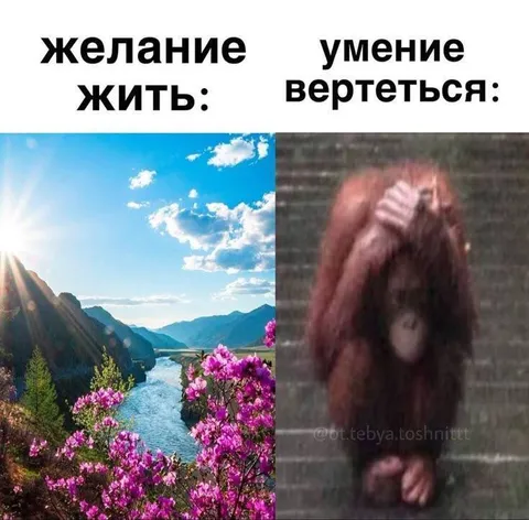 Желание жить и умение вертеться
