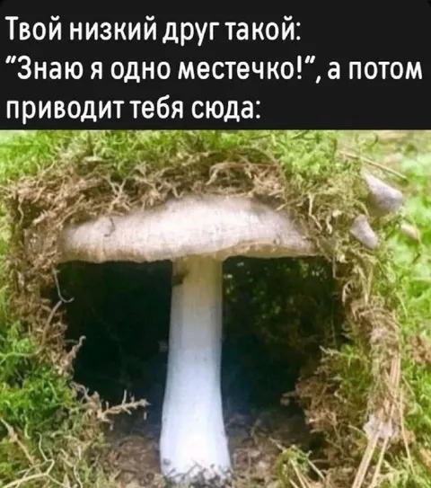 Низкий друг знает местечко
