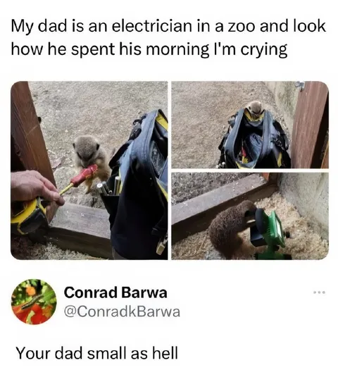 Dad Is an Electrician at the Zoo