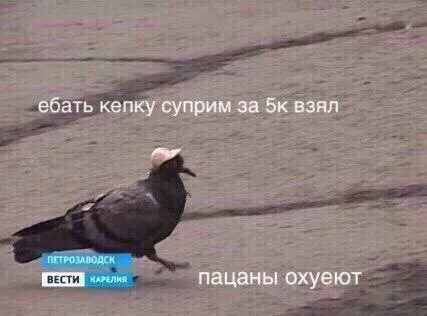 Пацаны охуеют от кепки
