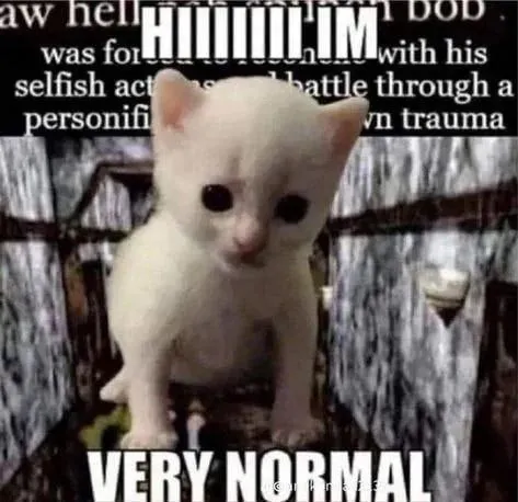 Very Normal Kitten