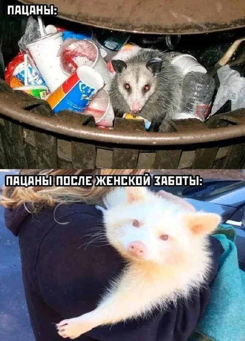 Пацаны после женской заботы