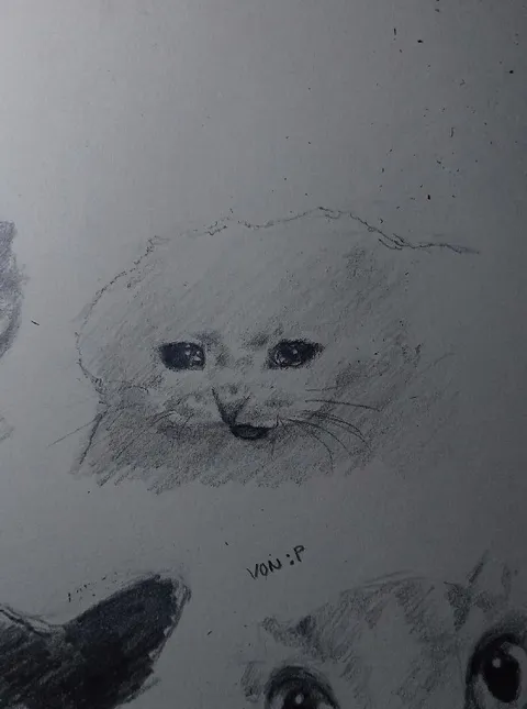 Pisici desenate cu creionul