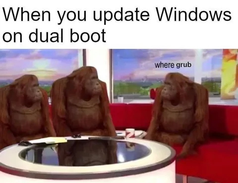 Windows Dual Boot Grub Confusion