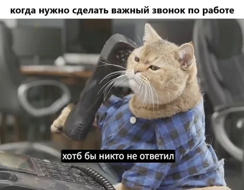 Важный рабочий звонок