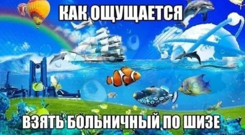 Как ощущается больничный по жизе