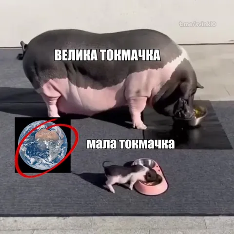 Большая и малая токмачка