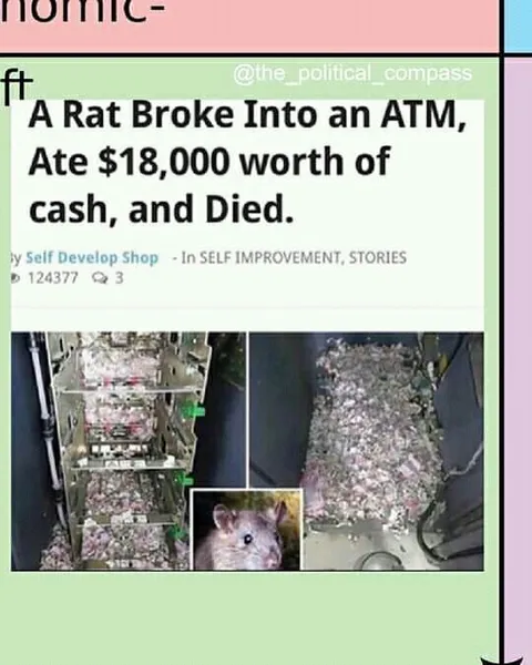 Rat Ate $18,000 in Cash
