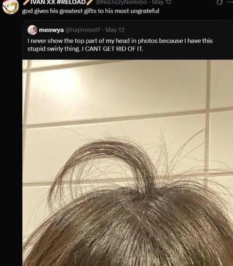 Stupid Swirly Hair Thing