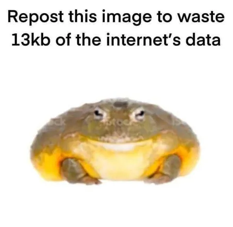 Repost to Waste Internet Data