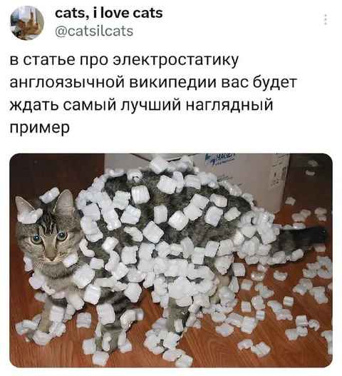 Кот наглядный пример электростатики