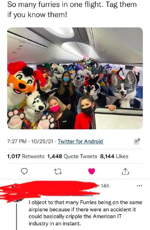 Furries on One Flight