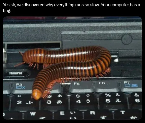 Your Computer Has a Bug
