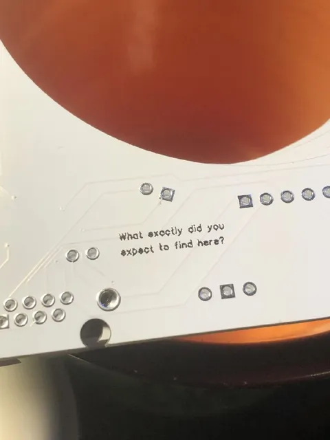 What Did You Expect to Find Here?