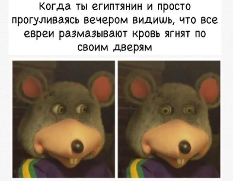 Египтянин видит кровь на дверях