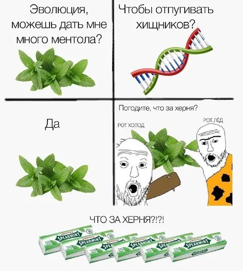 Эволюция ментола