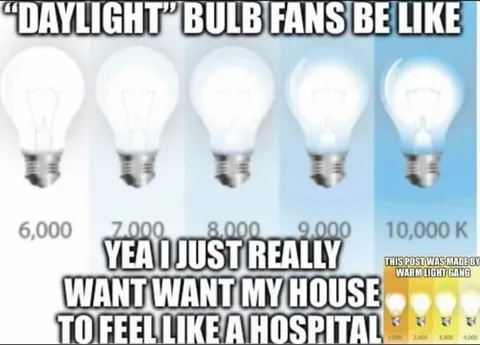 Daylight Bulb Fans Hate Warm Light