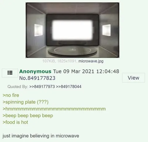 Just Imagine Believing in Microwave