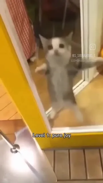 Cats Getting Sadder Each Level