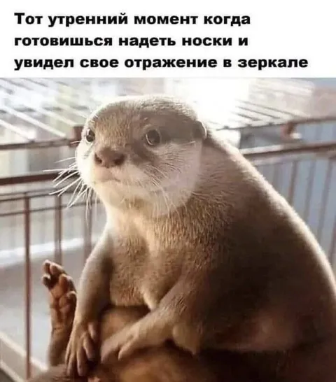 Утреннее отражение в зеркале