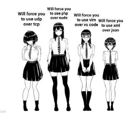Programming Preferences Anime Girls