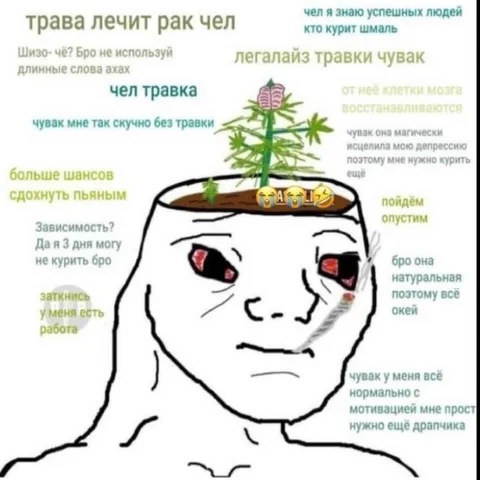 Легалайз травки, чувак