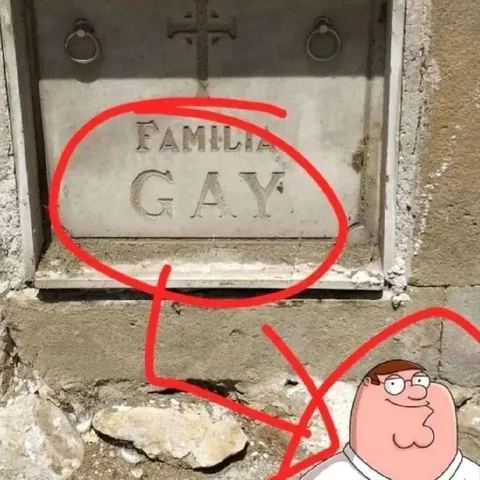 Family Guy? No, Family Gay