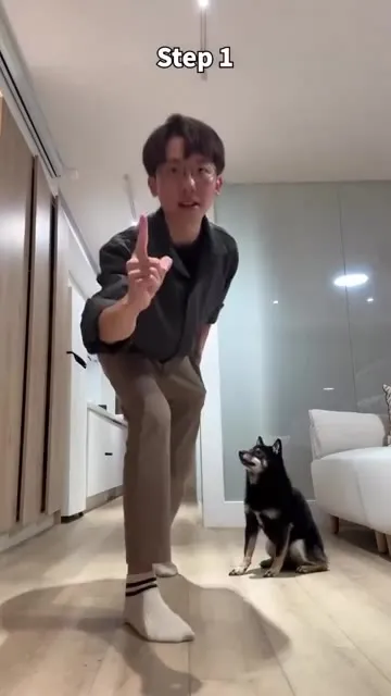 Teaching a Dog to Dance