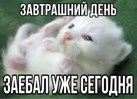 Завтрашний день уже достал