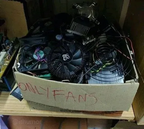 Only Fans Computer Parts