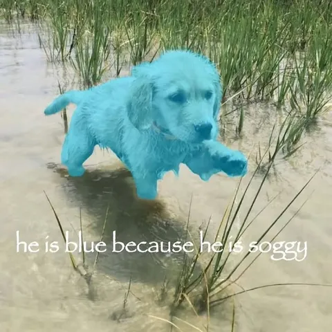Blue Puppy Because He Is Soggy
