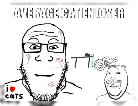 Average Cat Enjoyer