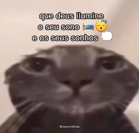 Gato desejando boa noite