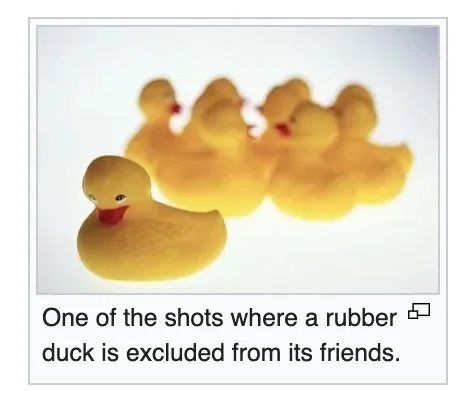 Rubber Duck Excluded From Friends