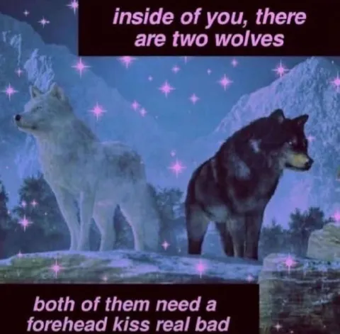 Two Wolves Need a Kiss