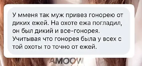 Гонорея от диких ежей