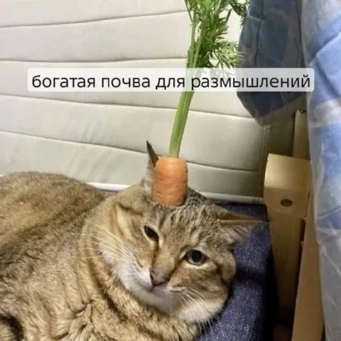Богатая почва для размышлений