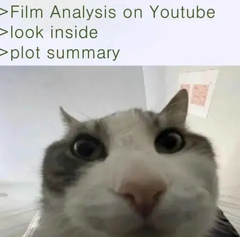 Cat Reads the Plot Summary